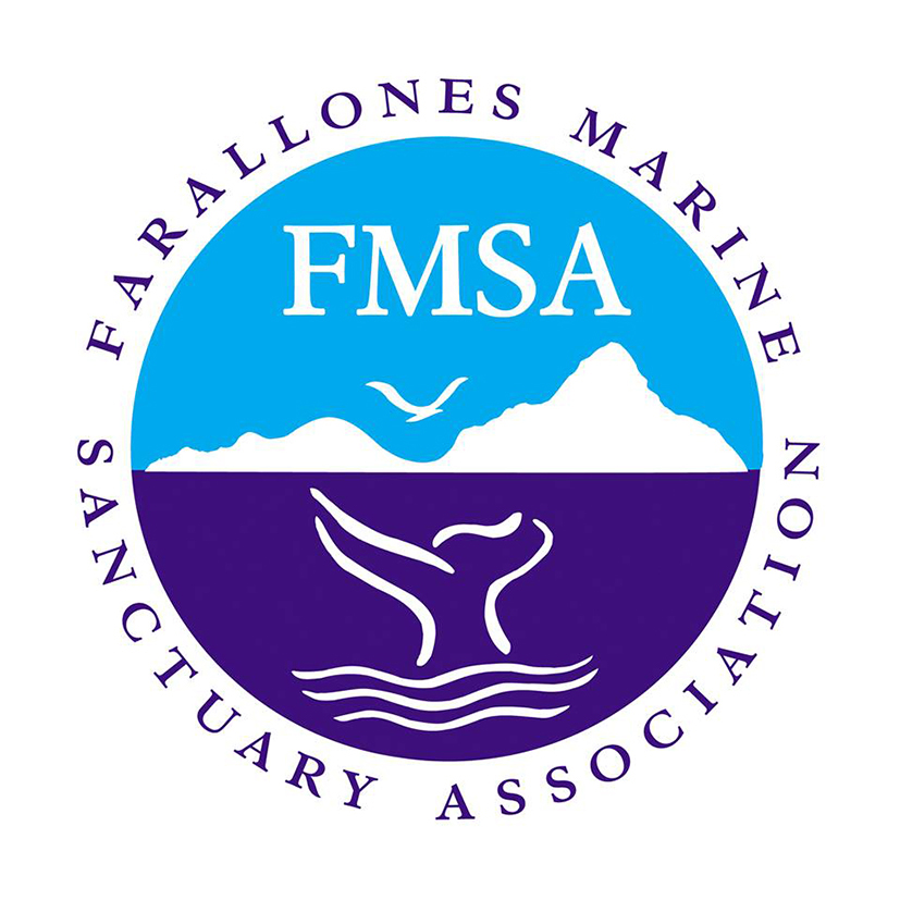 fmsa2